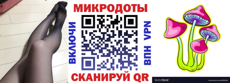 Псилоцибиновые грибы Psilocybe Владивосток