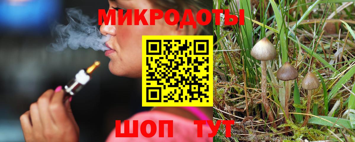 Псилоцибиновые грибы Psilocybe  Вход с VPN  Владивосток 