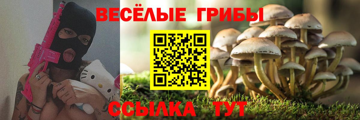 Псилоцибиновые грибы ЛСД Владивосток